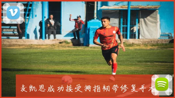 麦凯恩成功接受拇指韧带修复手术预计缺阵至少一个月