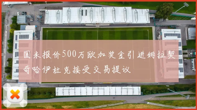国米报价500万欧加奖金引进姆拉契奇哈伊杜克接受交易提议