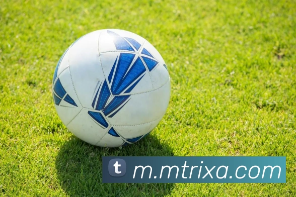 M体育平台生态图