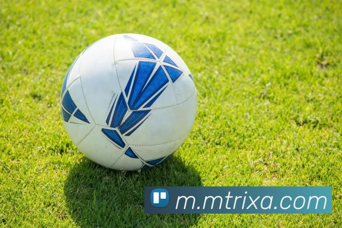 M体育APP 封面图